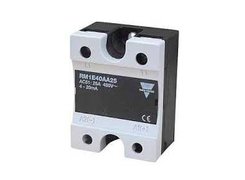 RM1E: With analog function